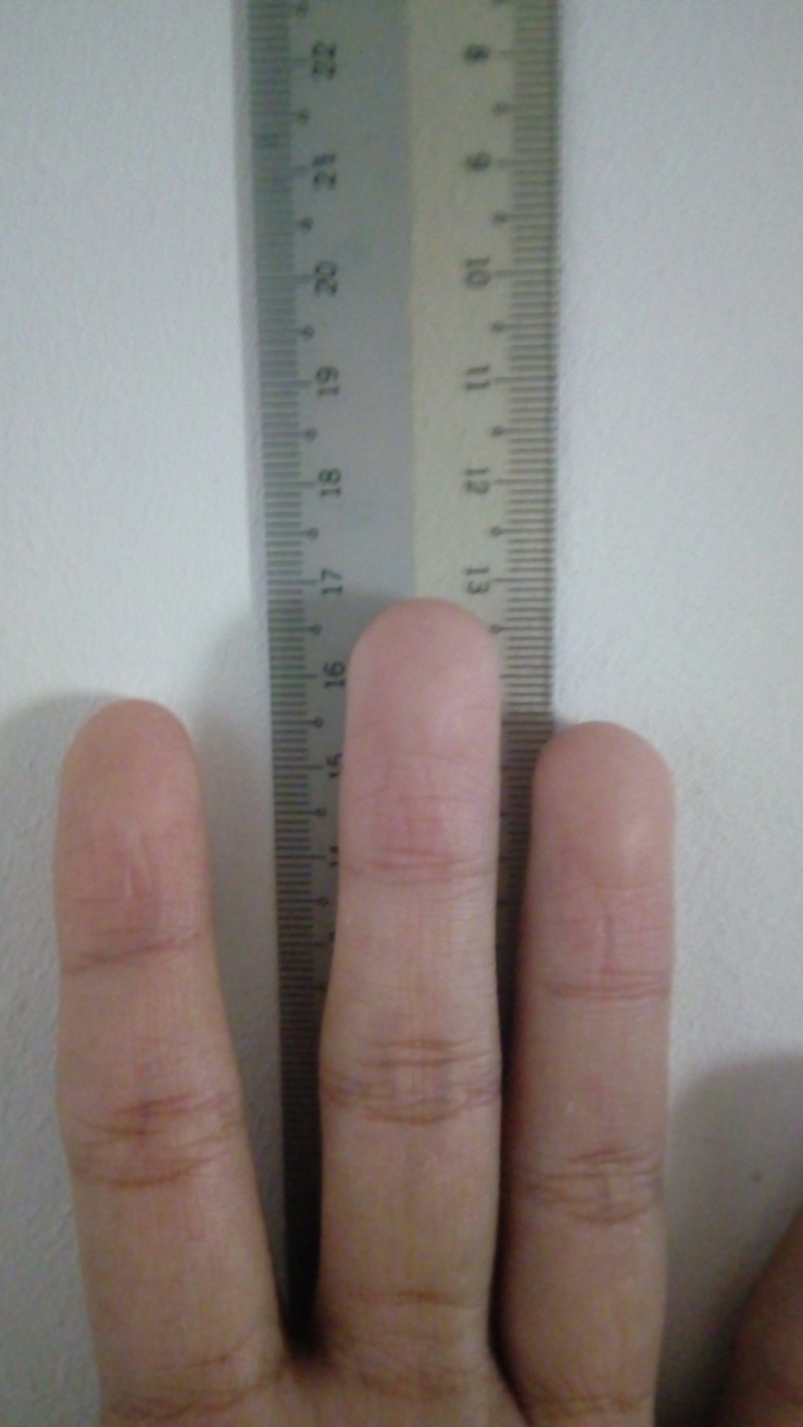 hand length.jpg